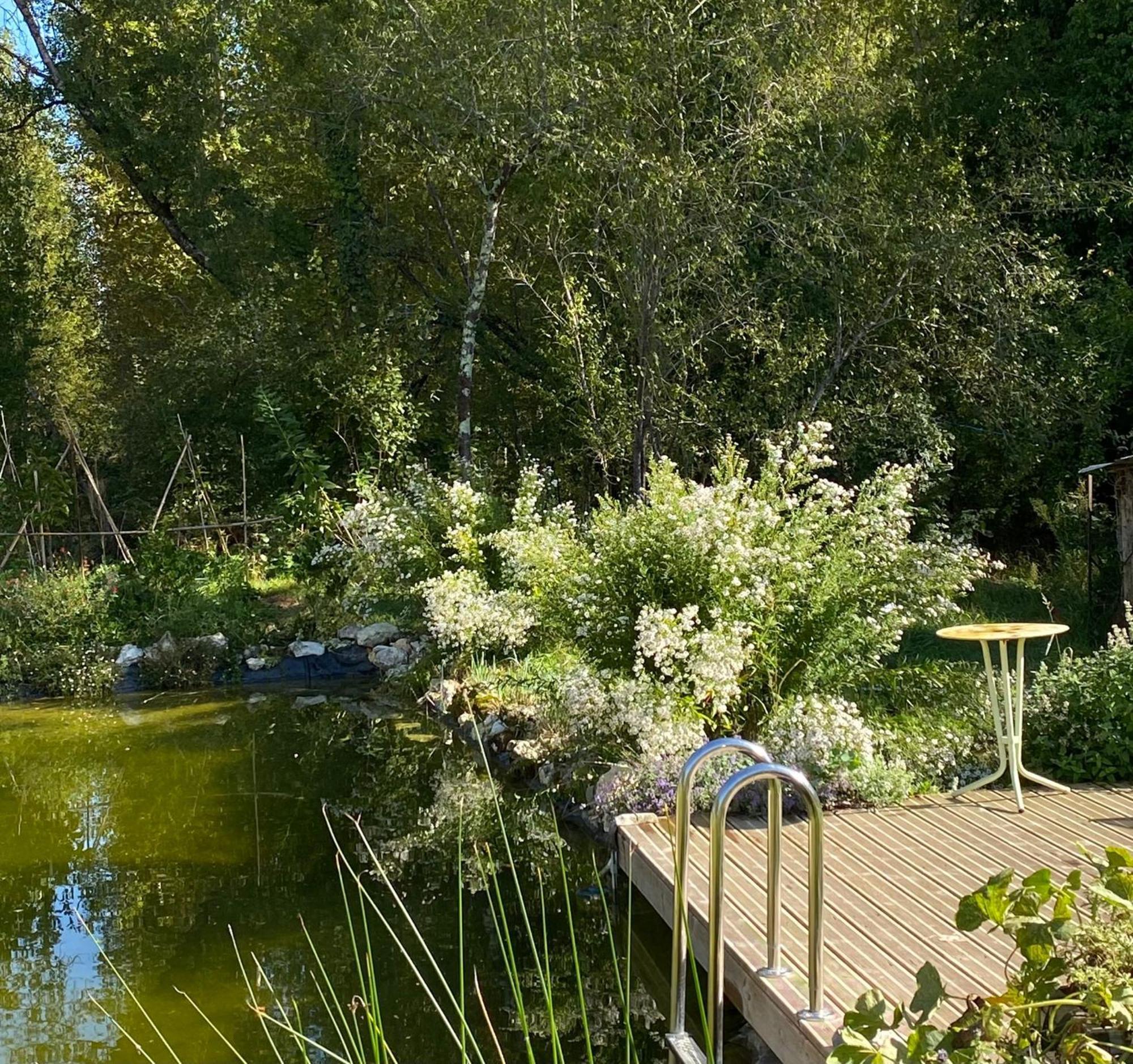 Bed and Breakfast Le Moulin Scalagrand Mazieres  Exterior foto